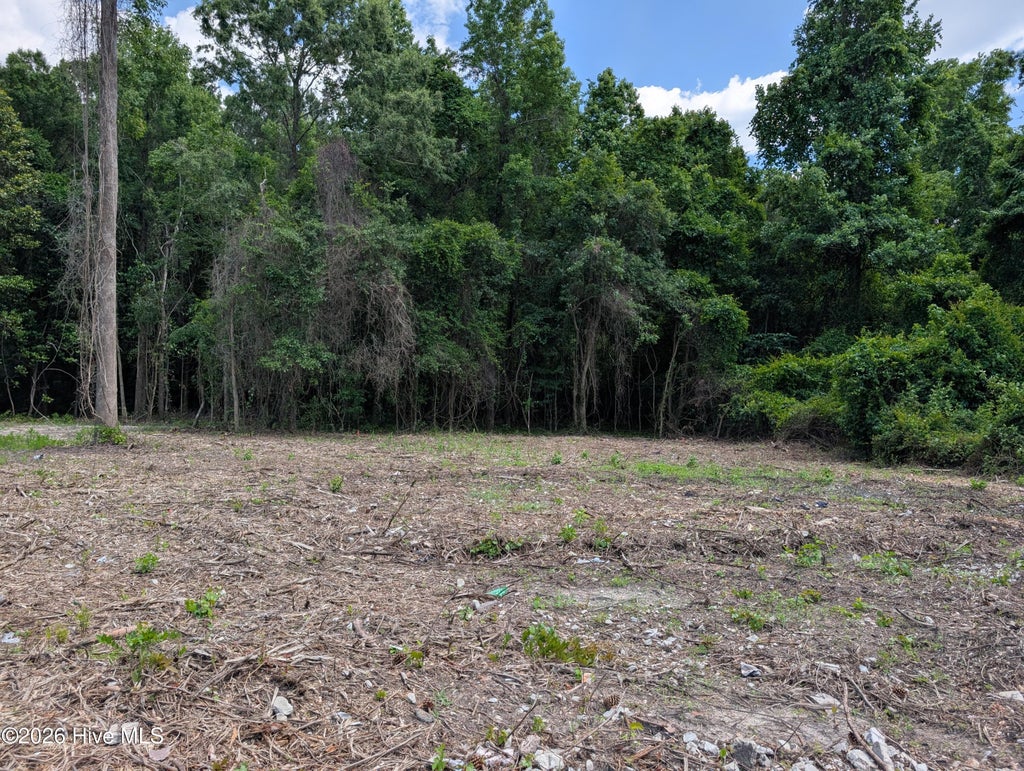 Photo of 352 Dudley Street, Jacksonville, NC 28540 (MLS # 100578972)