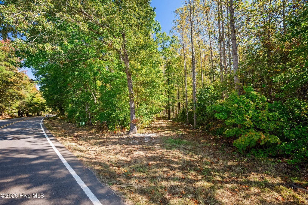 Photo of 0 Pleasant Grove Church Road, Spring Hope, NC 27882 (MLS # 100613303)