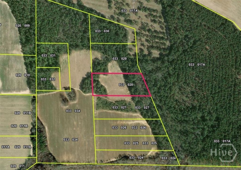 Photo of 00 Webster Road, Waynesboro, GA 30830 (MLS # SA351972)