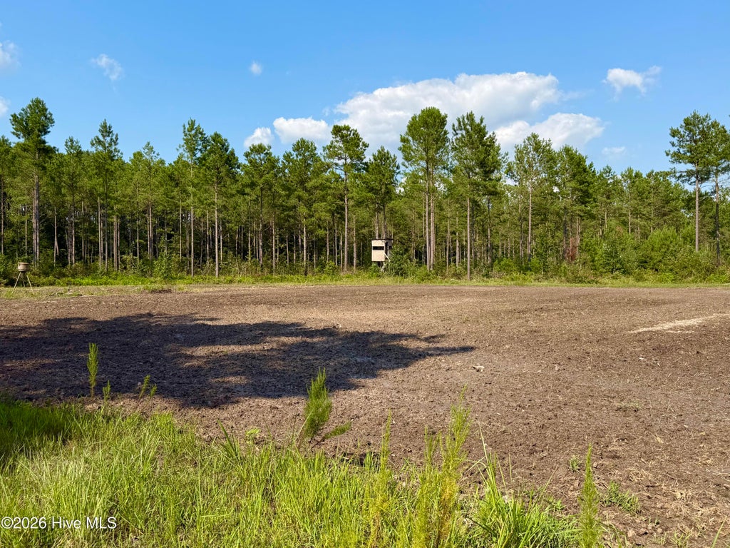 Photo of 2310 Devils Racetrack Road, Four Oaks, NC 27524 (MLS # 100594943)
