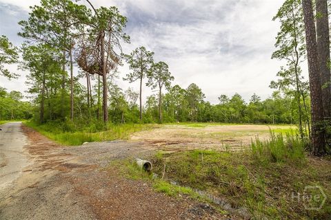 Vacant Land For Sale - Zettler Road<br/> Springfield, GA 31329