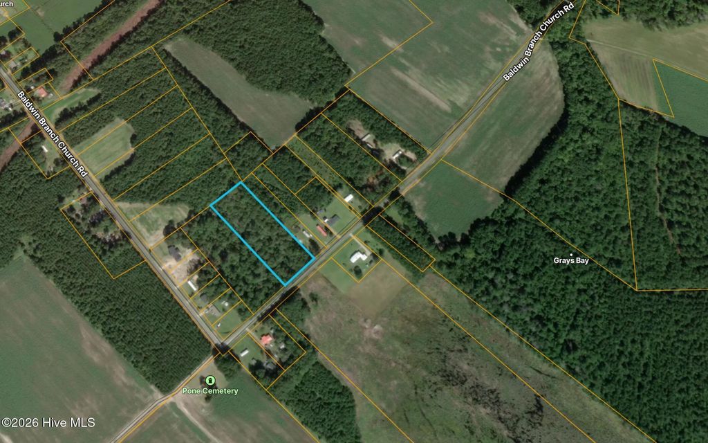 Photo of 0 Baldwin Branch Church Road, Elizabethtown, NC 28337 (MLS # 100581888)