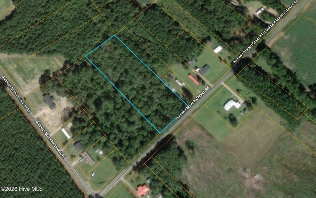 Photo of 0 Baldwin Branch Church Road, Elizabethtown, NC 28337 (MLS # 100581888)
