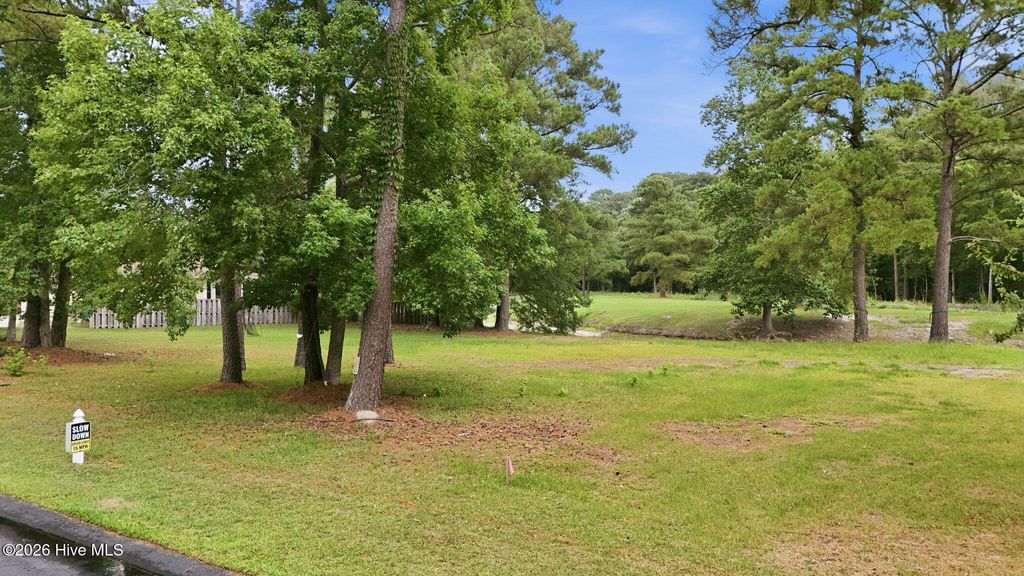 Photo of 106 Cedar Tree Lane SW, Calabash, NC 28467 (MLS # 100583434)