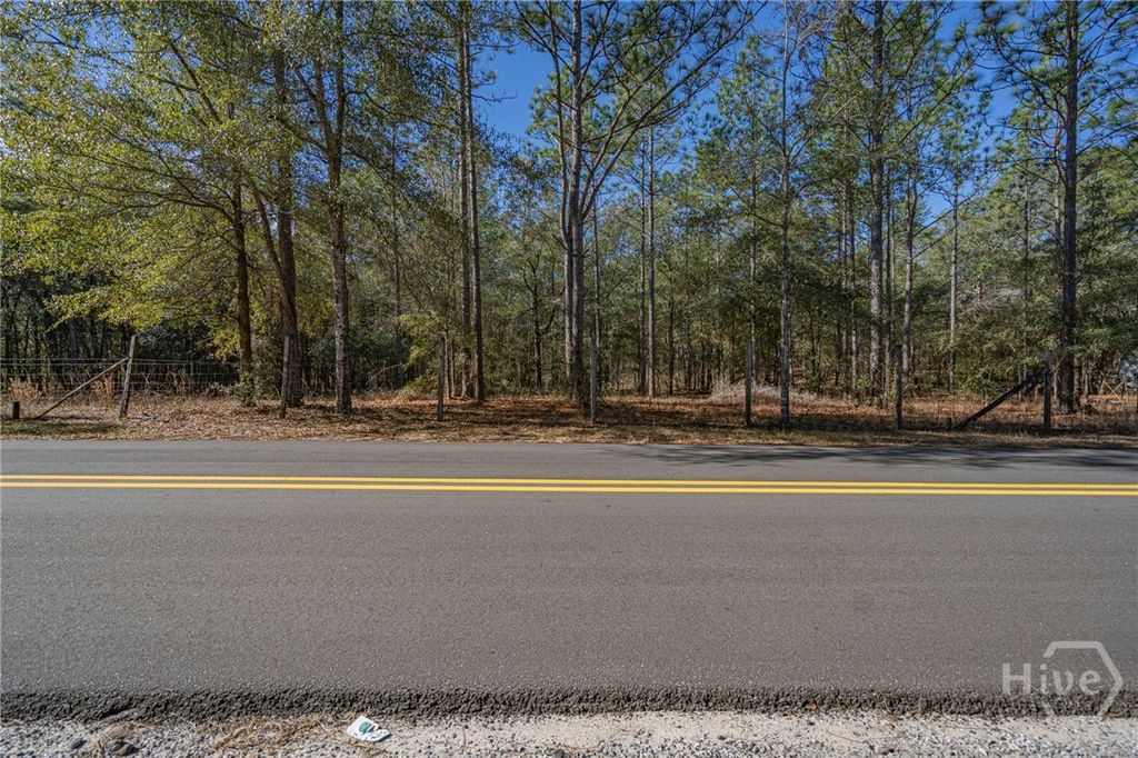 Photo of 164 Holly Drive, Eden, GA 31307 (MLS # SA346247)