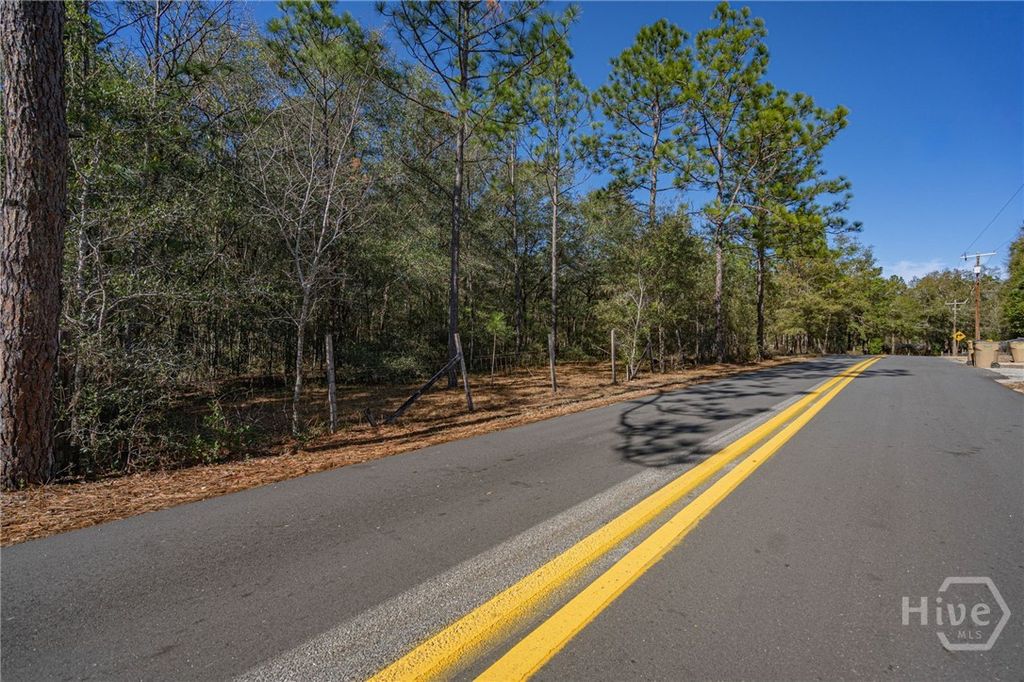 Photo of 164 Holly Drive, Eden, GA 31307 (MLS # SA346247)