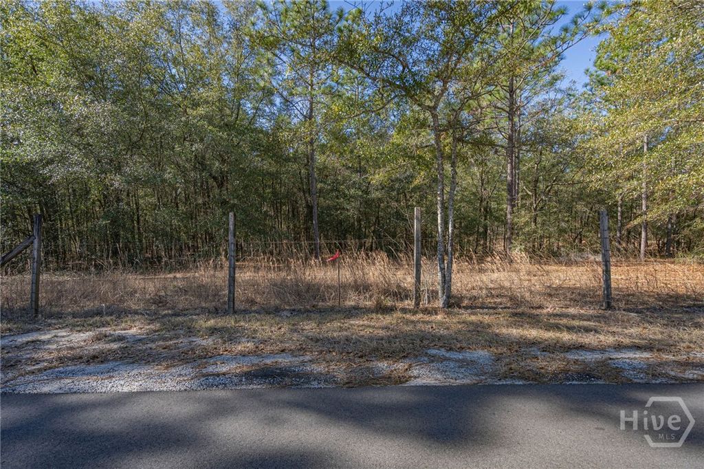 Photo of 164 Holly Drive, Eden, GA 31307 (MLS # SA346247)
