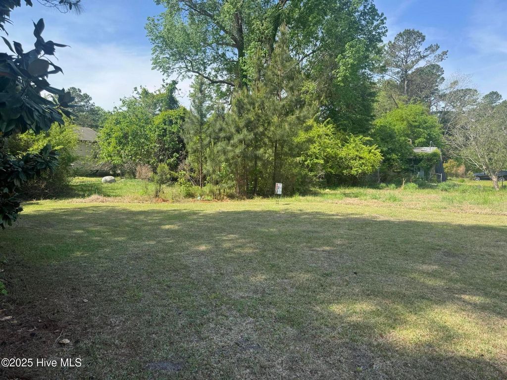 Photo of 1906 Penn Street, New Bern, NC 28562 (MLS # 100502352)