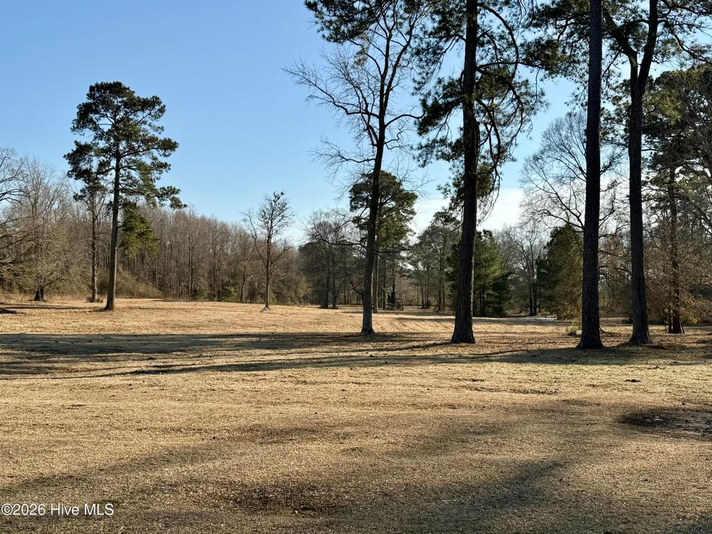 Photo of 0 Harvey Road, Washington, NC 27889 (MLS # 100554262)