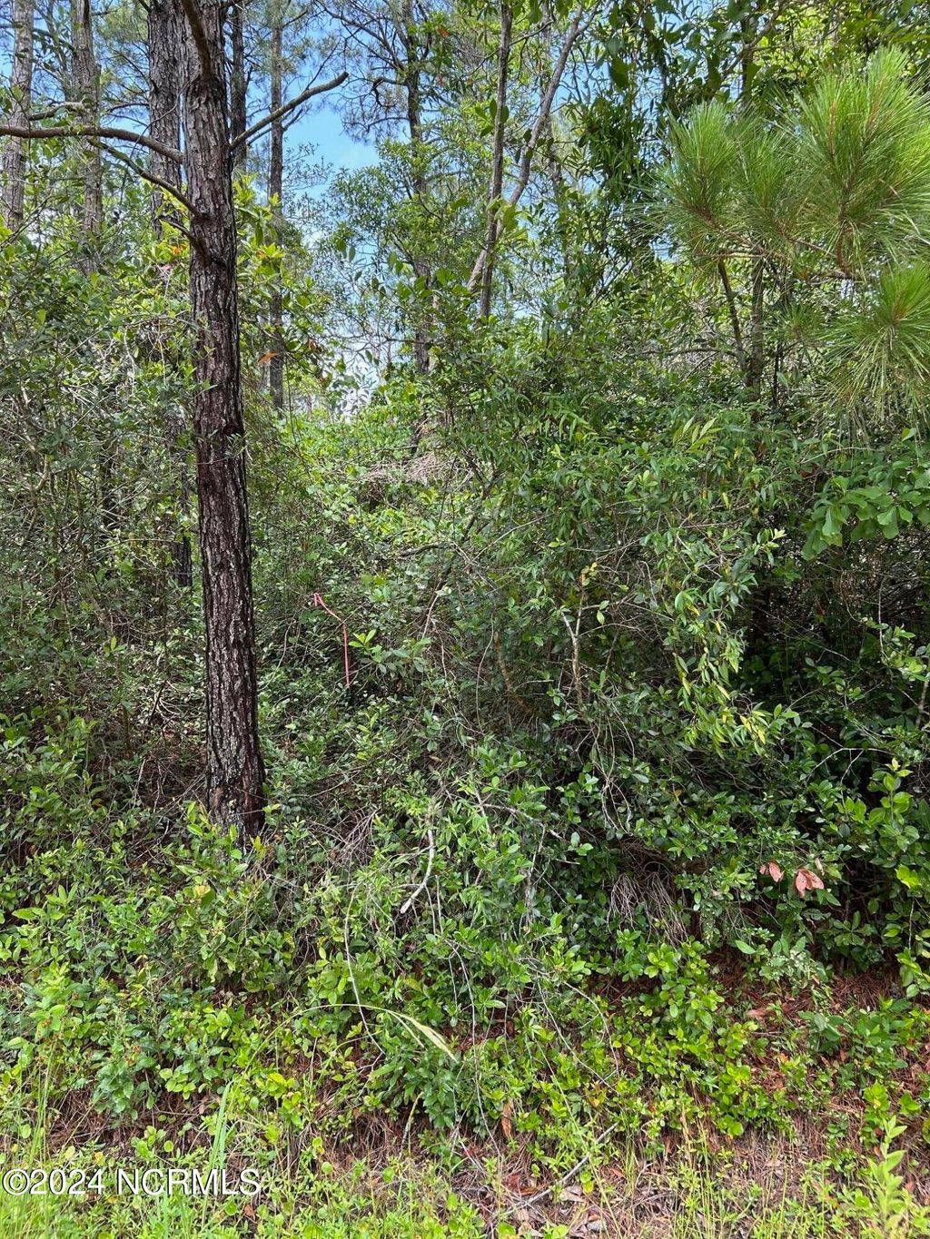 Photo of 1695 Beech Road, Southport, NC 28461 (MLS # 100448826)