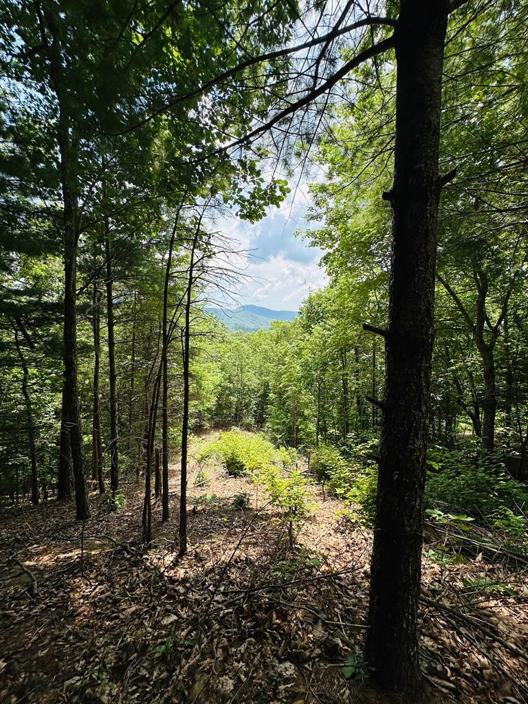 Photo of 15 View Ridge Trail, Murphy, NC 28906 (MLS # 100593558)