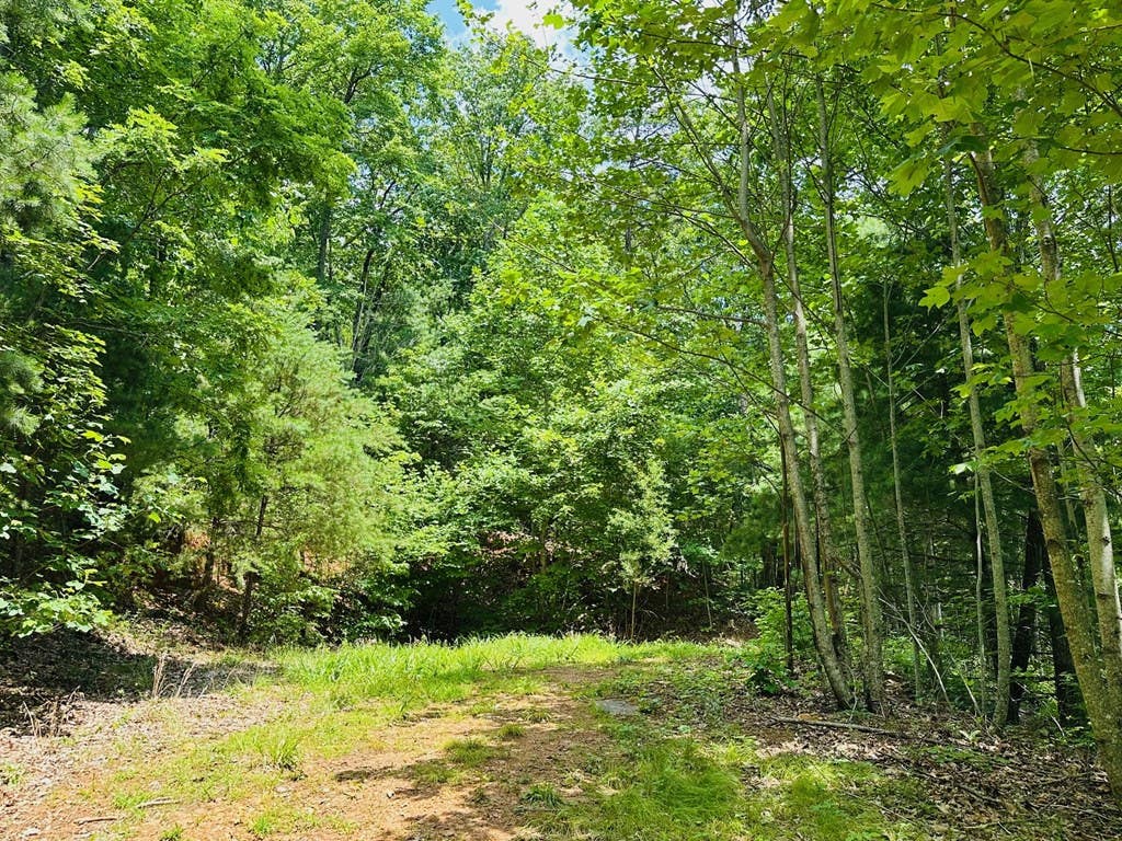 Photo of 15 View Ridge Trail, Murphy, NC 28906 (MLS # 100593558)