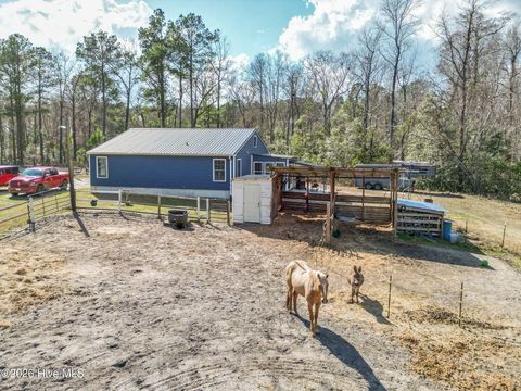 Tiny photo for 460 Oakey Point Road, Hampstead, NC 28443 (MLS # 100559666)