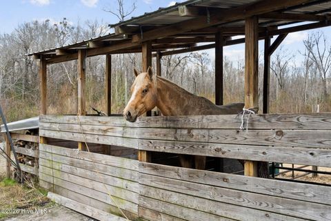 Tiny photo for 460 Oakey Point Road, Hampstead, NC 28443 (MLS # 100559666)