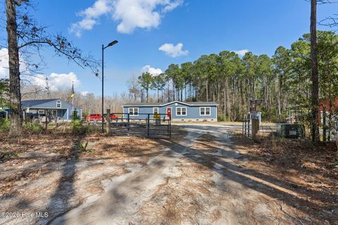 Tiny photo for 460 Oakey Point Road, Hampstead, NC 28443 (MLS # 100559666)