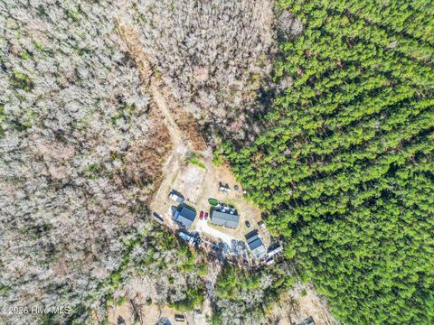 Tiny photo for 460 Oakey Point Road, Hampstead, NC 28443 (MLS # 100559666)