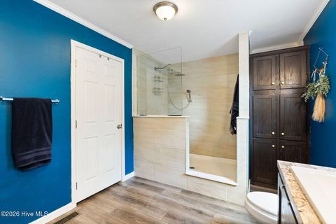 Tiny photo for 460 Oakey Point Road, Hampstead, NC 28443 (MLS # 100559666)