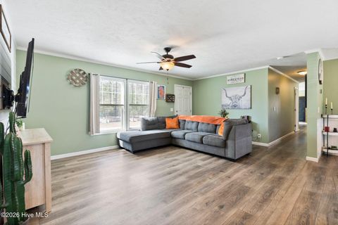Tiny photo for 460 Oakey Point Road, Hampstead, NC 28443 (MLS # 100559666)