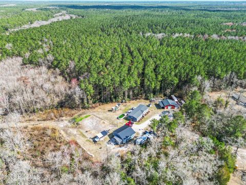 Tiny photo for 460 Oakey Point Road, Hampstead, NC 28443 (MLS # 100559666)