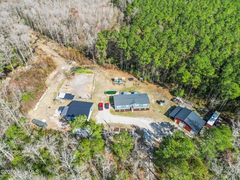 Tiny photo for 460 Oakey Point Road, Hampstead, NC 28443 (MLS # 100559666)