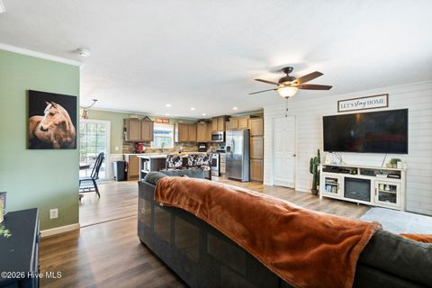 Tiny photo for 460 Oakey Point Road, Hampstead, NC 28443 (MLS # 100559666)