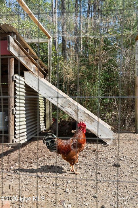 Tiny photo for 460 Oakey Point Road, Hampstead, NC 28443 (MLS # 100559666)