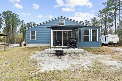 Tiny photo for 460 Oakey Point Road, Hampstead, NC 28443 (MLS # 100559666)
