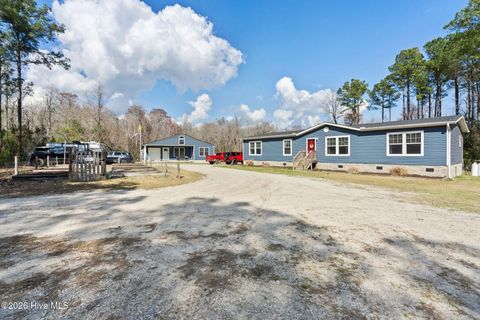Tiny photo for 460 Oakey Point Road, Hampstead, NC 28443 (MLS # 100559666)