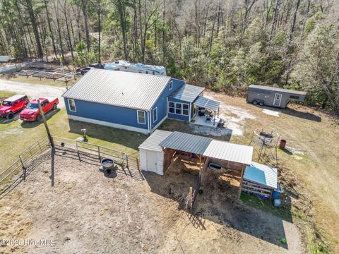 Tiny photo for 460 Oakey Point Road, Hampstead, NC 28443 (MLS # 100559666)