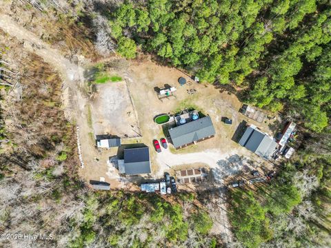 Tiny photo for 460 Oakey Point Road, Hampstead, NC 28443 (MLS # 100559666)