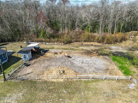 Tiny photo for 460 Oakey Point Road, Hampstead, NC 28443 (MLS # 100559666)