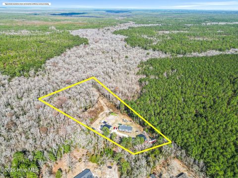 Tiny photo for 460 Oakey Point Road, Hampstead, NC 28443 (MLS # 100559666)