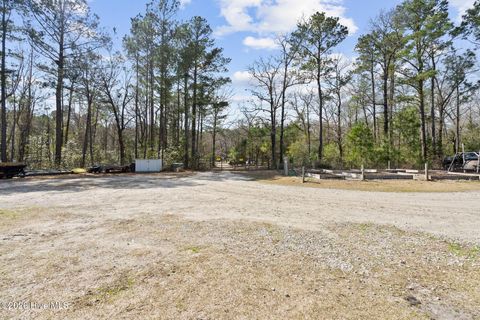 Tiny photo for 460 Oakey Point Road, Hampstead, NC 28443 (MLS # 100559666)