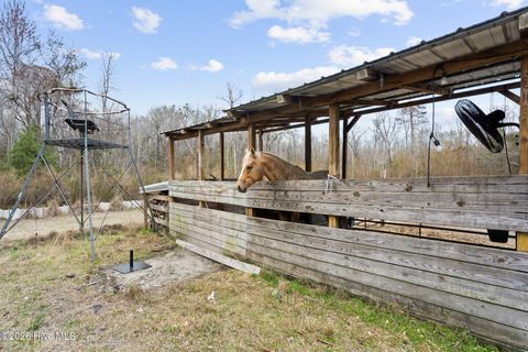 Tiny photo for 460 Oakey Point Road, Hampstead, NC 28443 (MLS # 100559666)