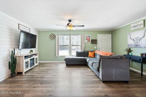 Tiny photo for 460 Oakey Point Road, Hampstead, NC 28443 (MLS # 100559666)