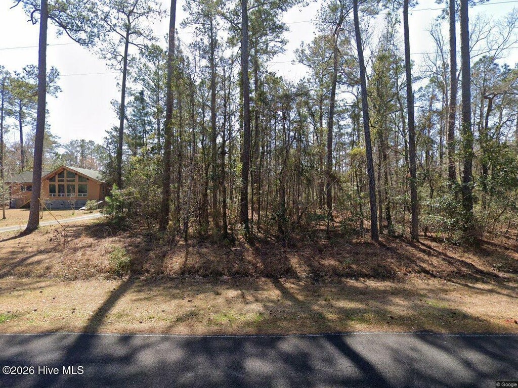 Photo of 214 Smith Creek Road, Oriental, NC 28571 (MLS # 100603252)