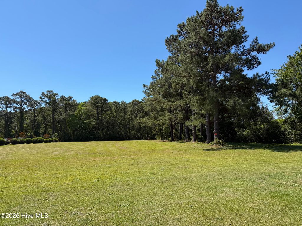 Photo of 204 Aarons Path, Beaufort, NC 28516 (MLS # 100574565)