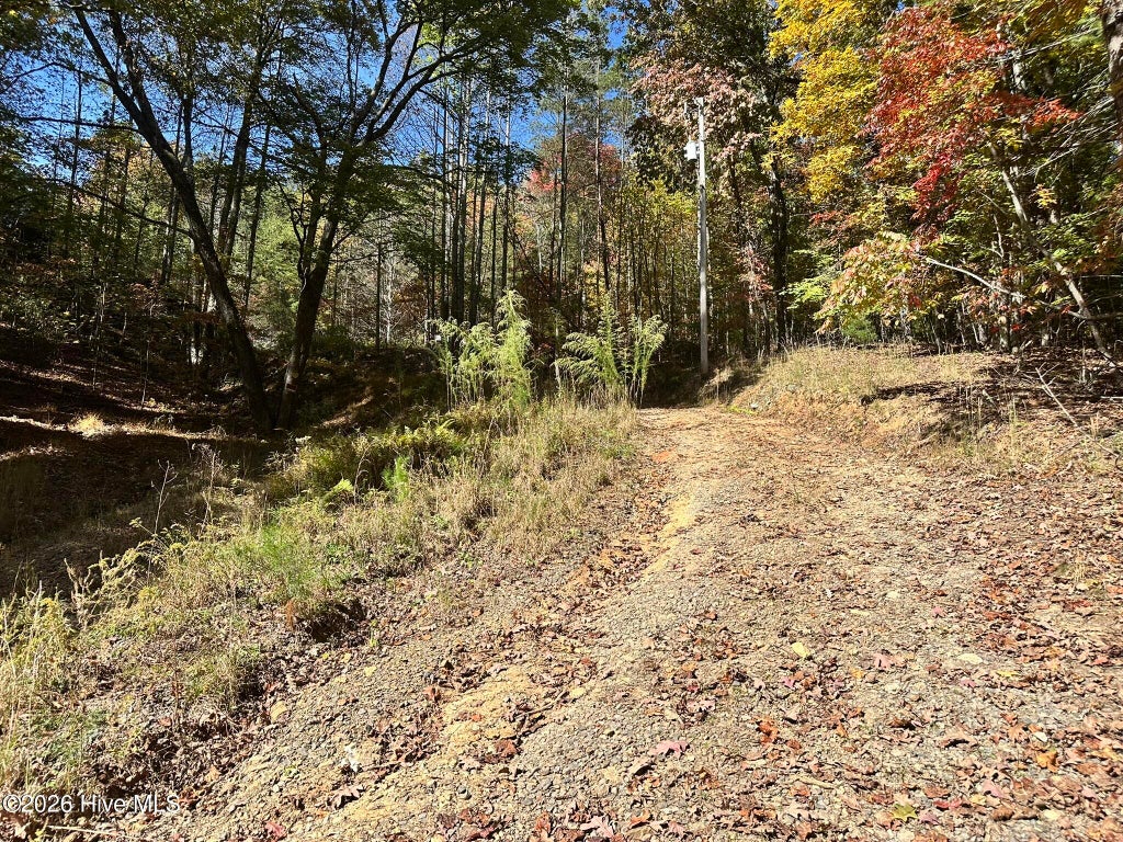 Photo of 764 Marrestop Road, Murphy, NC 28906 (MLS # 100612843)