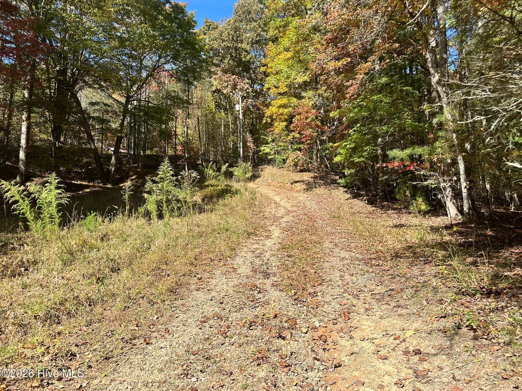 Photo of 764 Marrestop Road, Murphy, NC 28906 (MLS # 100612843)