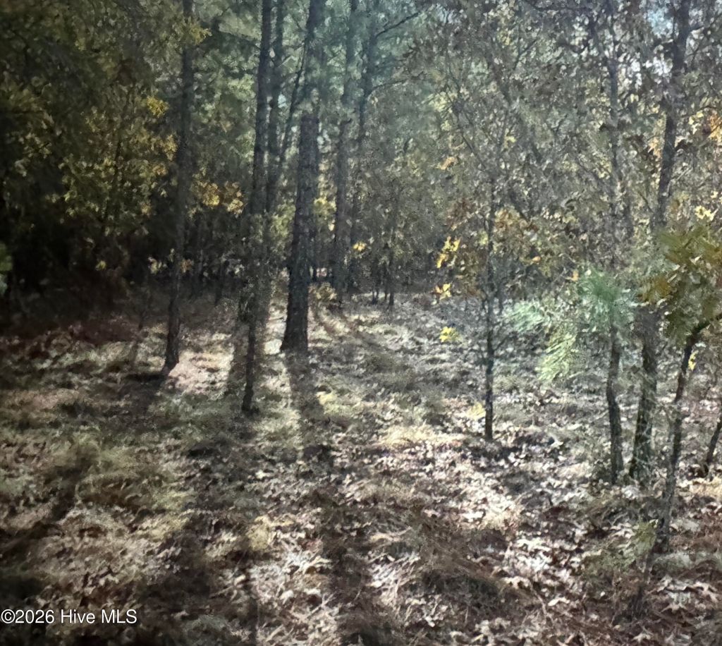 Photo of Tbd Fox Road, Marston, NC 28363 (MLS # 100566698)