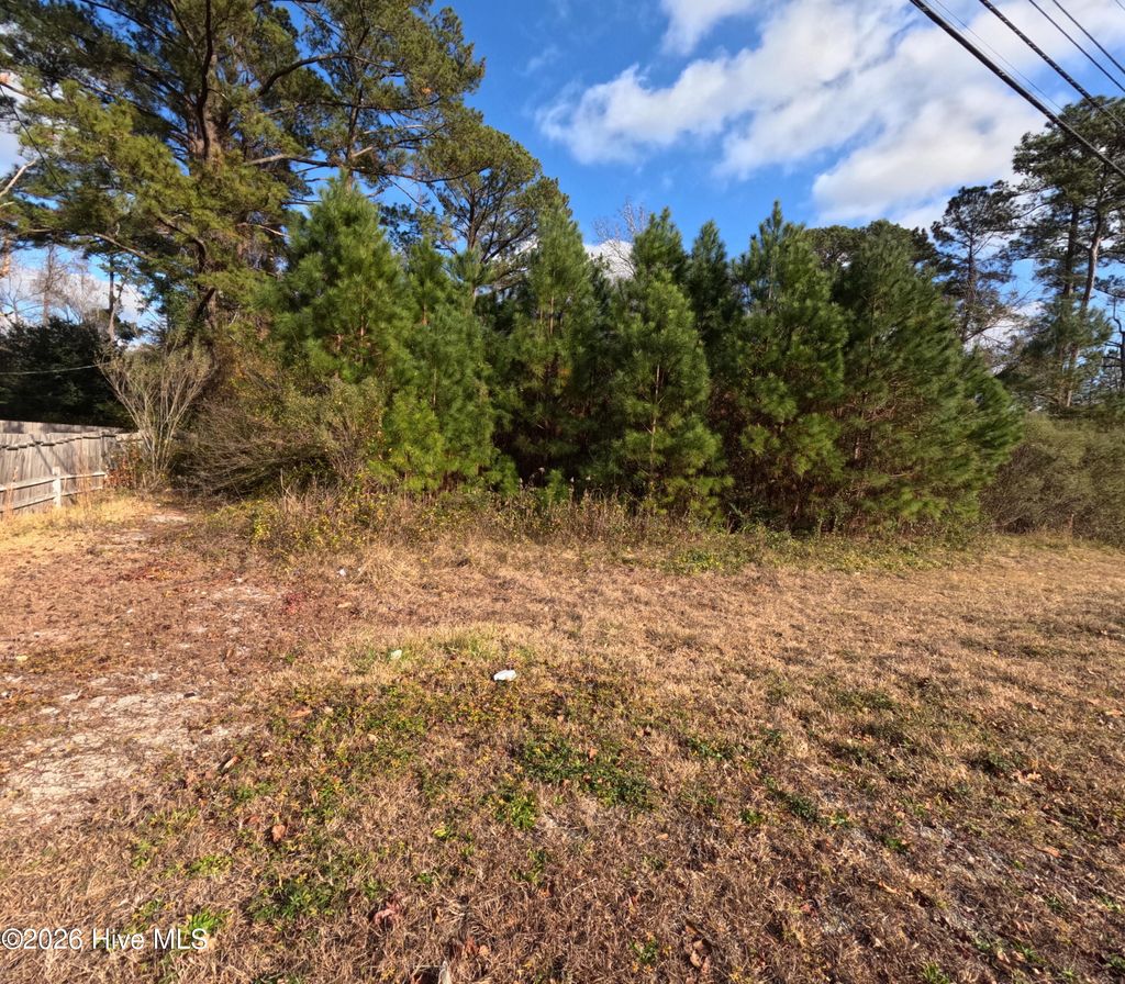 Photo of 353 Piney Green Road, Jacksonville, NC 28546 (MLS # 100556205)