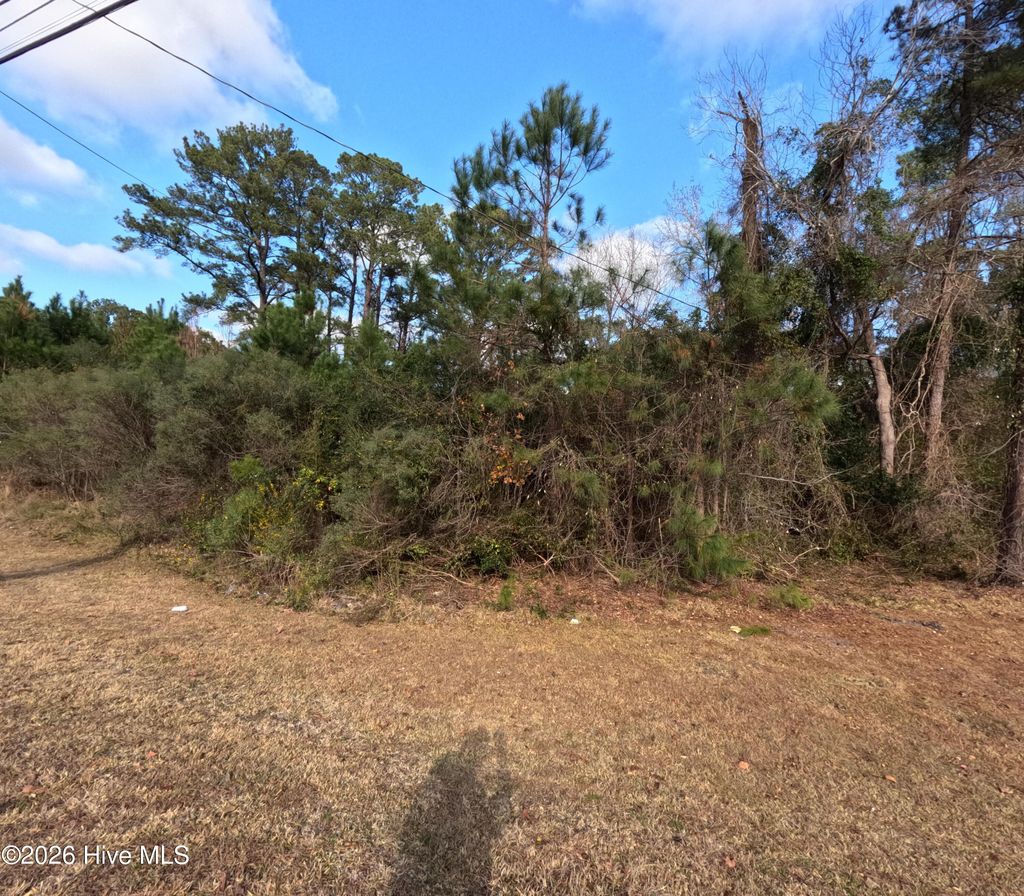 Photo of 353 Piney Green Road, Jacksonville, NC 28546 (MLS # 100556205)