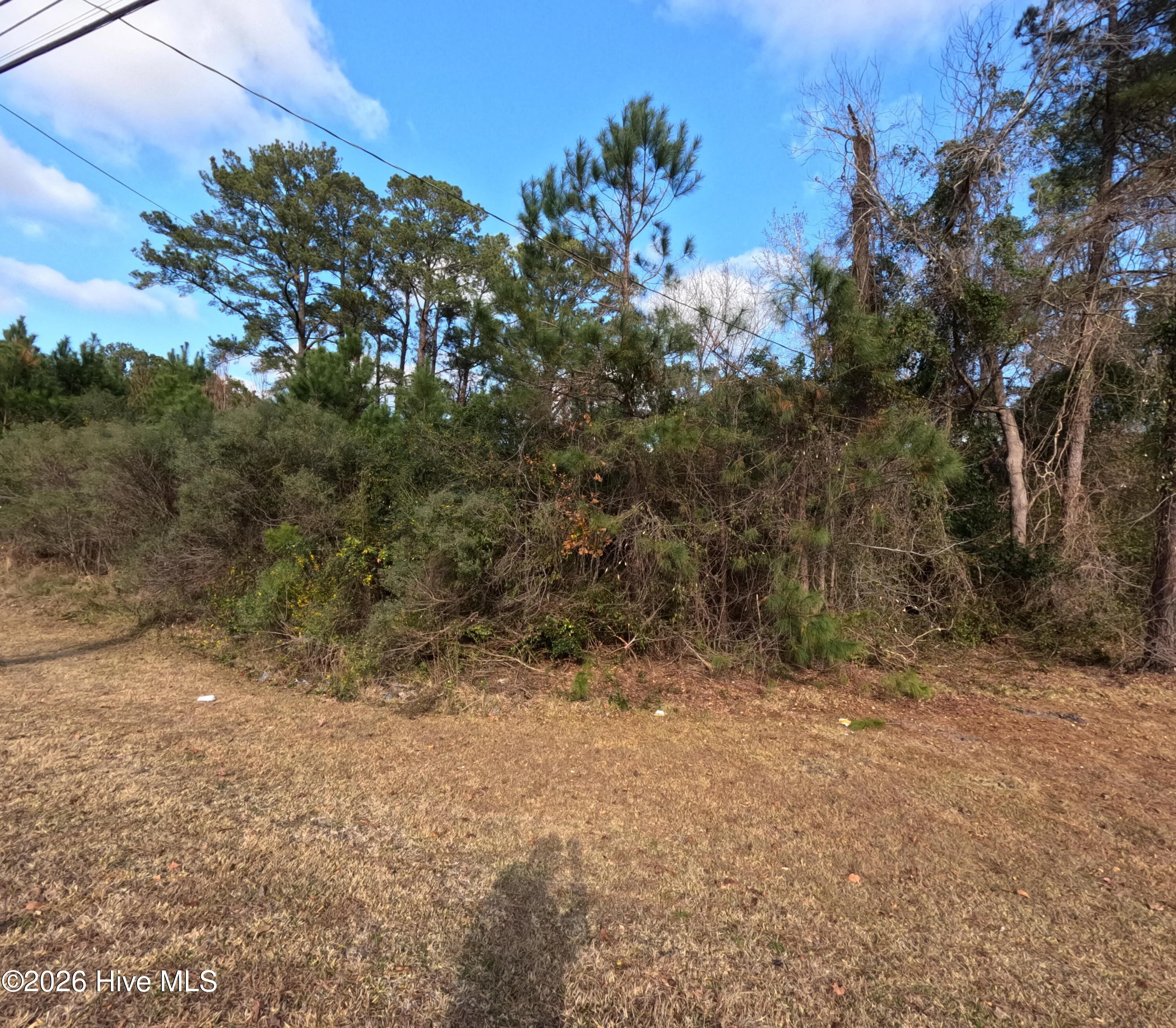 353 Piney Green Road