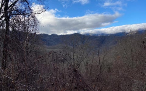 Vacant Land For Sale - LOT M2 Georgianna Lane<br/> Swain County, Bryson City, NC 28713
