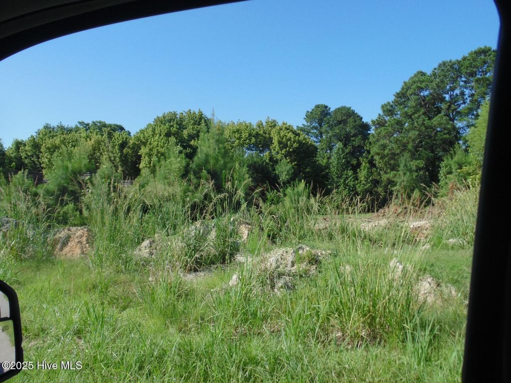 Photo of 901 S King Street, Windsor, NC 27983 (MLS # 100533767)