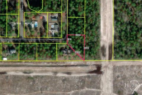 Vacant Land For Sale - Nature Circle<br/> Jesup, GA 31545