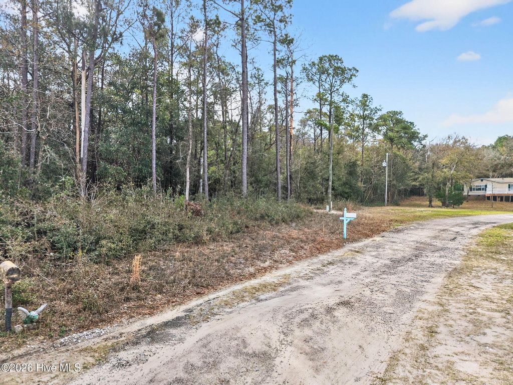 Photo of 914 Cypress Lakes Circle SE, Bolivia, NC 28422 (MLS # 100561507)