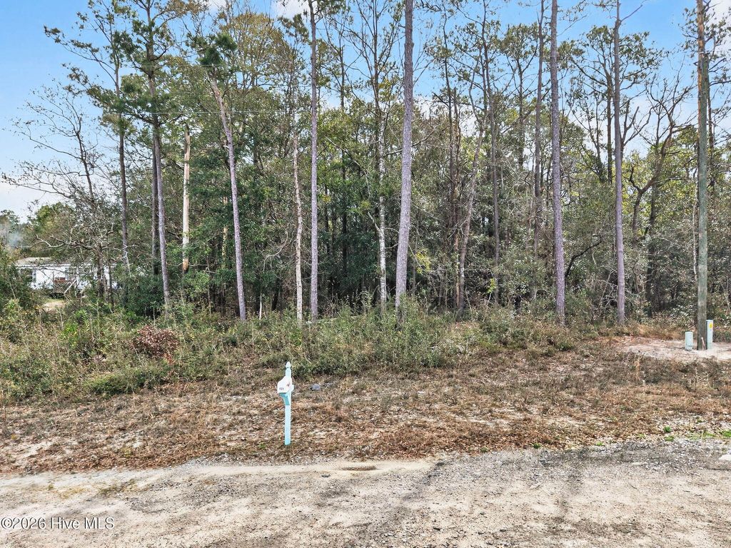 Photo of 914 Cypress Lakes Circle SE, Bolivia, NC 28422 (MLS # 100561507)