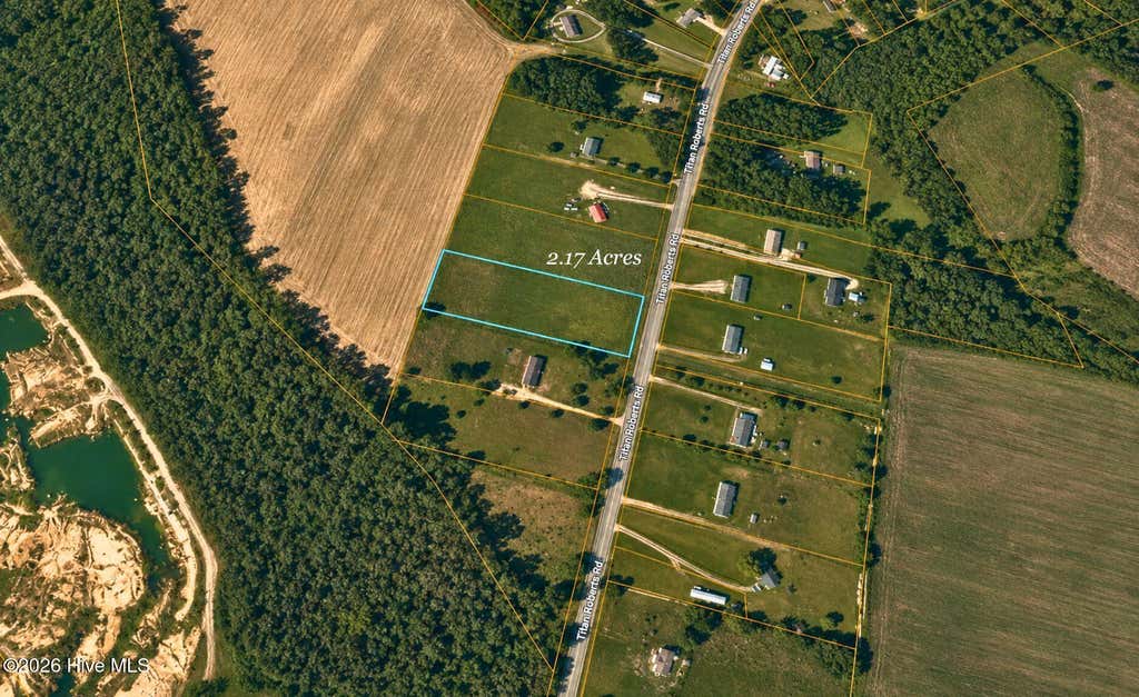 Photo of 5700 Titan Roberts Road, Erwin, NC 28339 (MLS # 100593007)