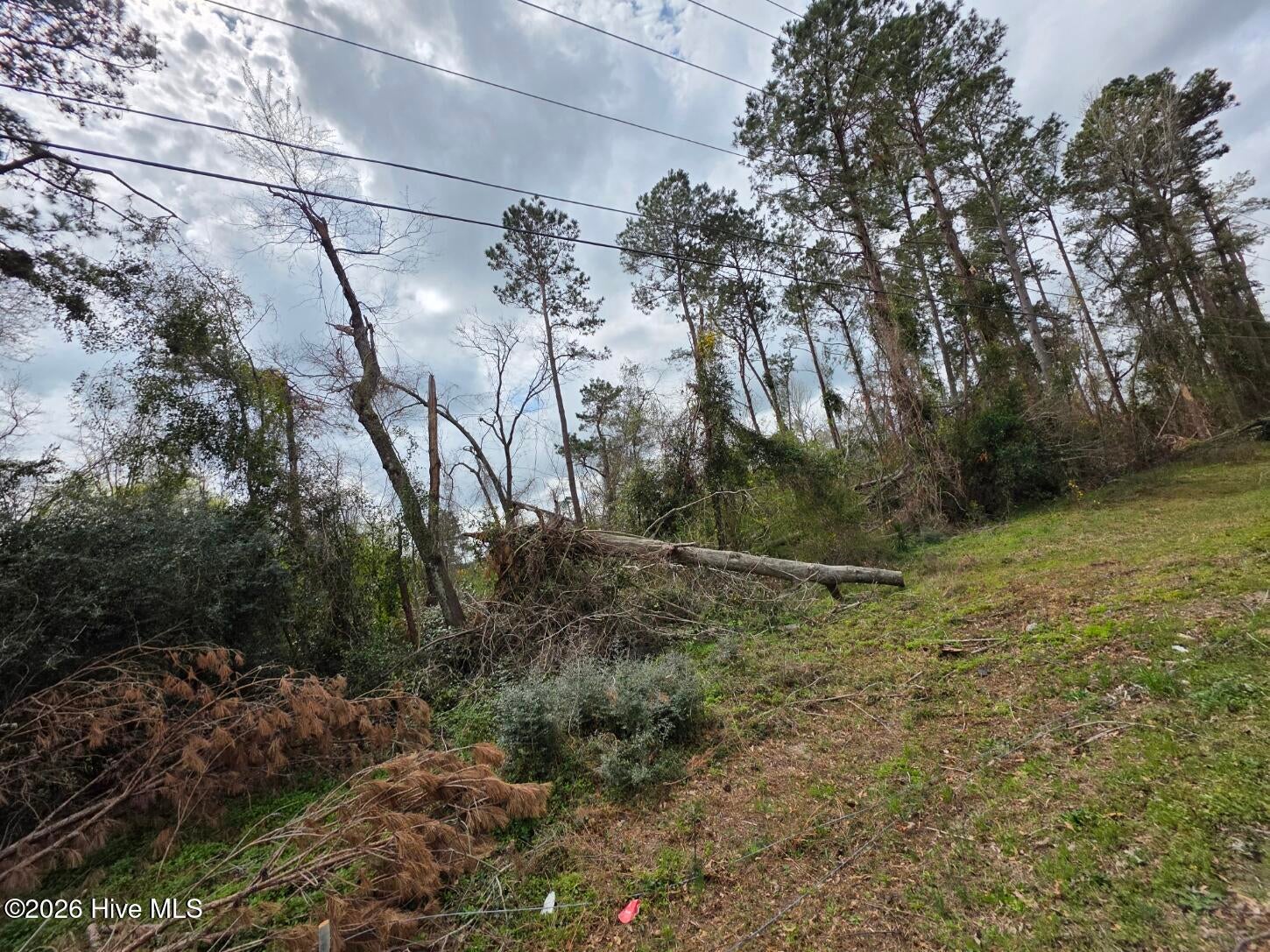 1894 Mcdade Farm Road